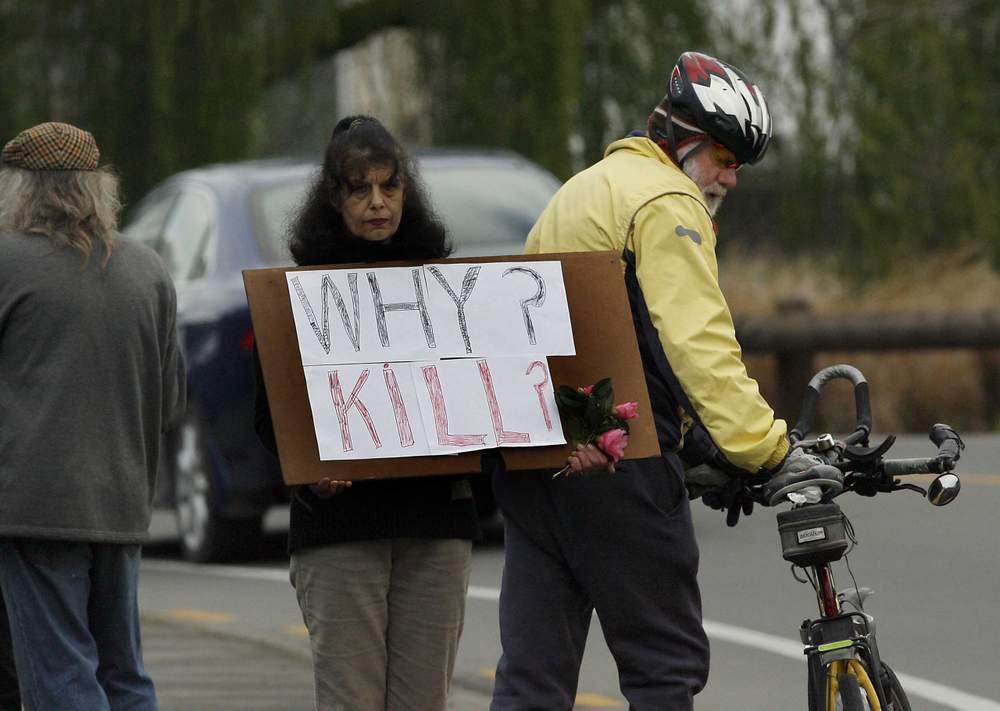 Local resident Irinka Britnell protests at the scene.(DAVID HALLETT\/STUFF)