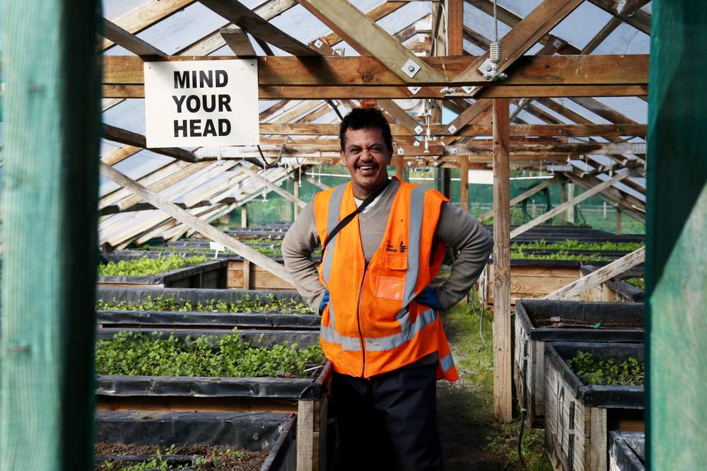 This is the first job Jarrod Wikeepa has had in 10 years. Photo: David White\/Stuff