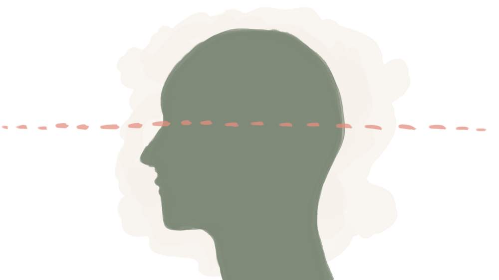 Around half of Kiwis will experience a mental illness and\/or addiction at some time in their lives. Source: New Zealand Mental Health Survey