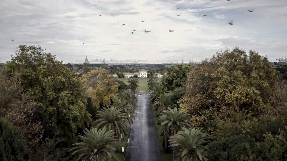 What remains of Kingseat Hospital, South Auckland. Photo: Jason Dorday\/Stuff