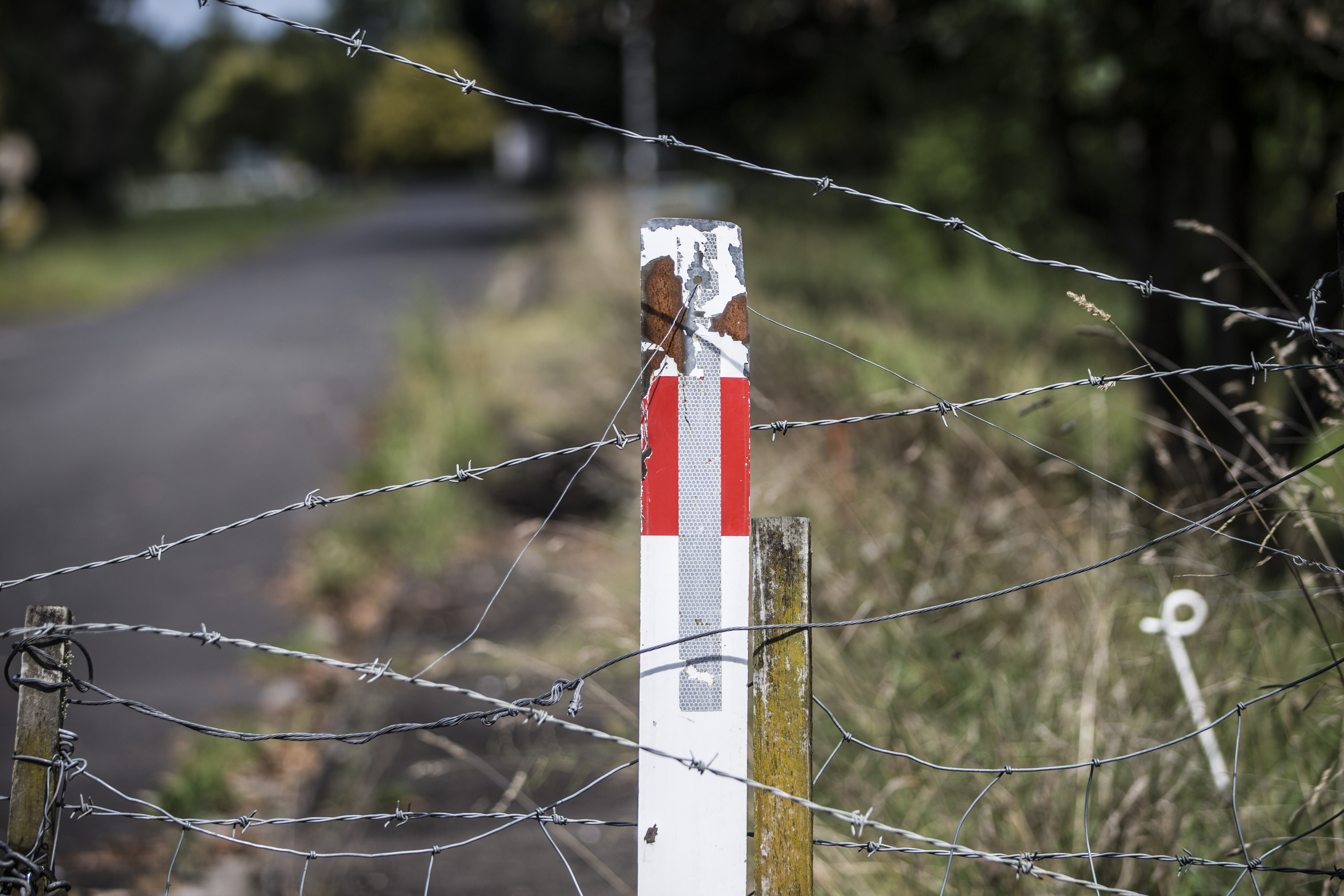 video fallback image