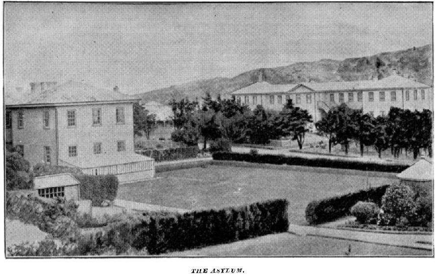 Mt View Asylum closed in 1910.