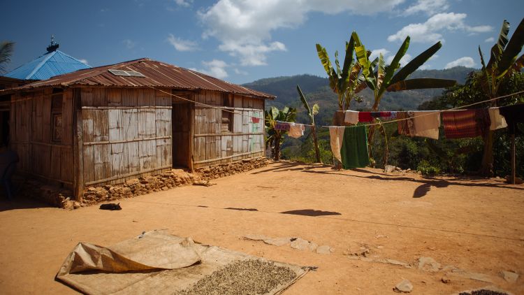 Home in with coffee drying outside