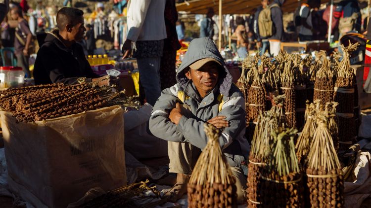 A man selling betle nut at the markets in Letefoho