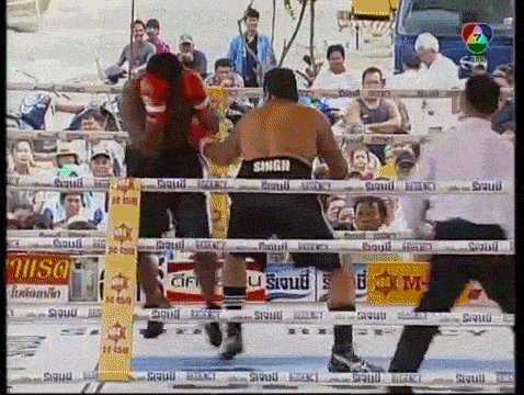 Iobe Ledua is counted out by the referee in the first round of his WBF Asia-Pacific heavyweight title fight with Rohit.