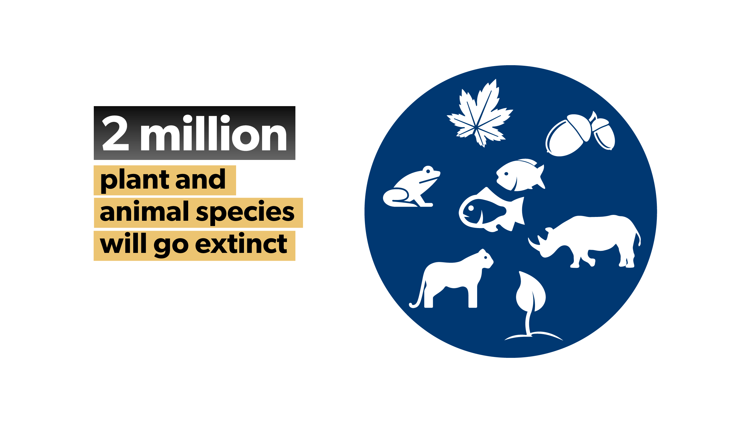 Plant and animal species will go extinct