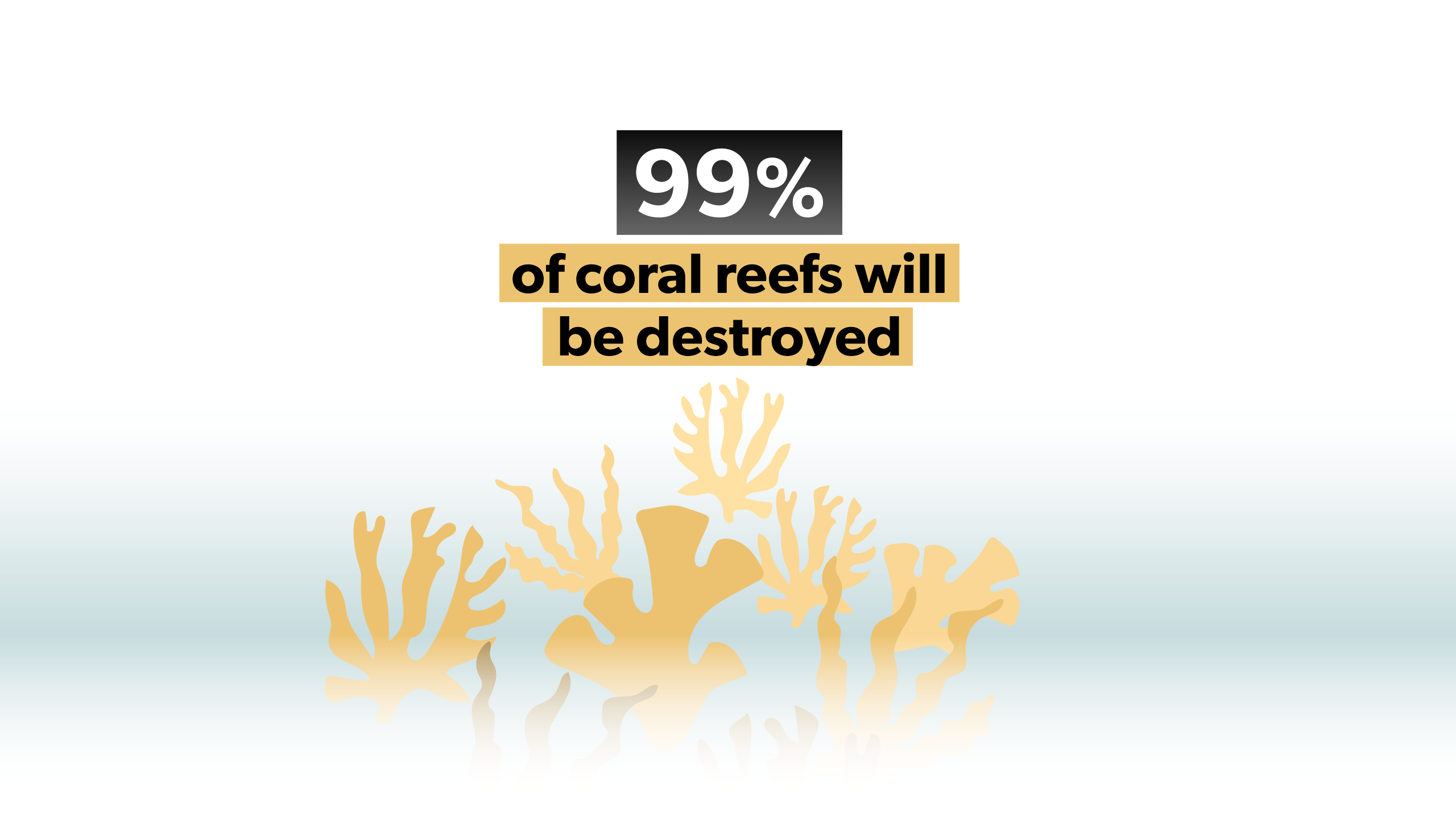 Of coral reefs will be destroyed