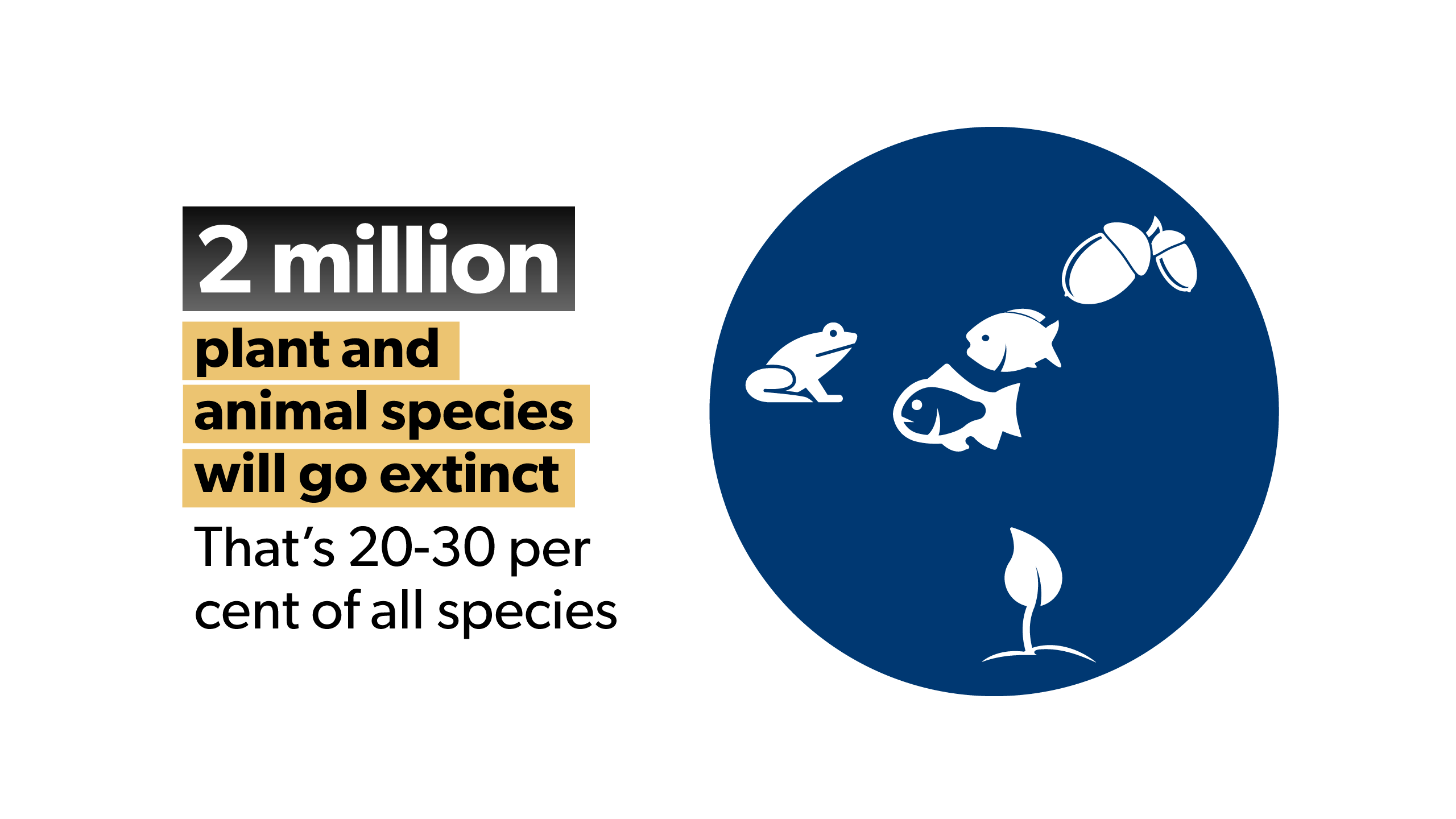 That's 20-30 per cent of all species