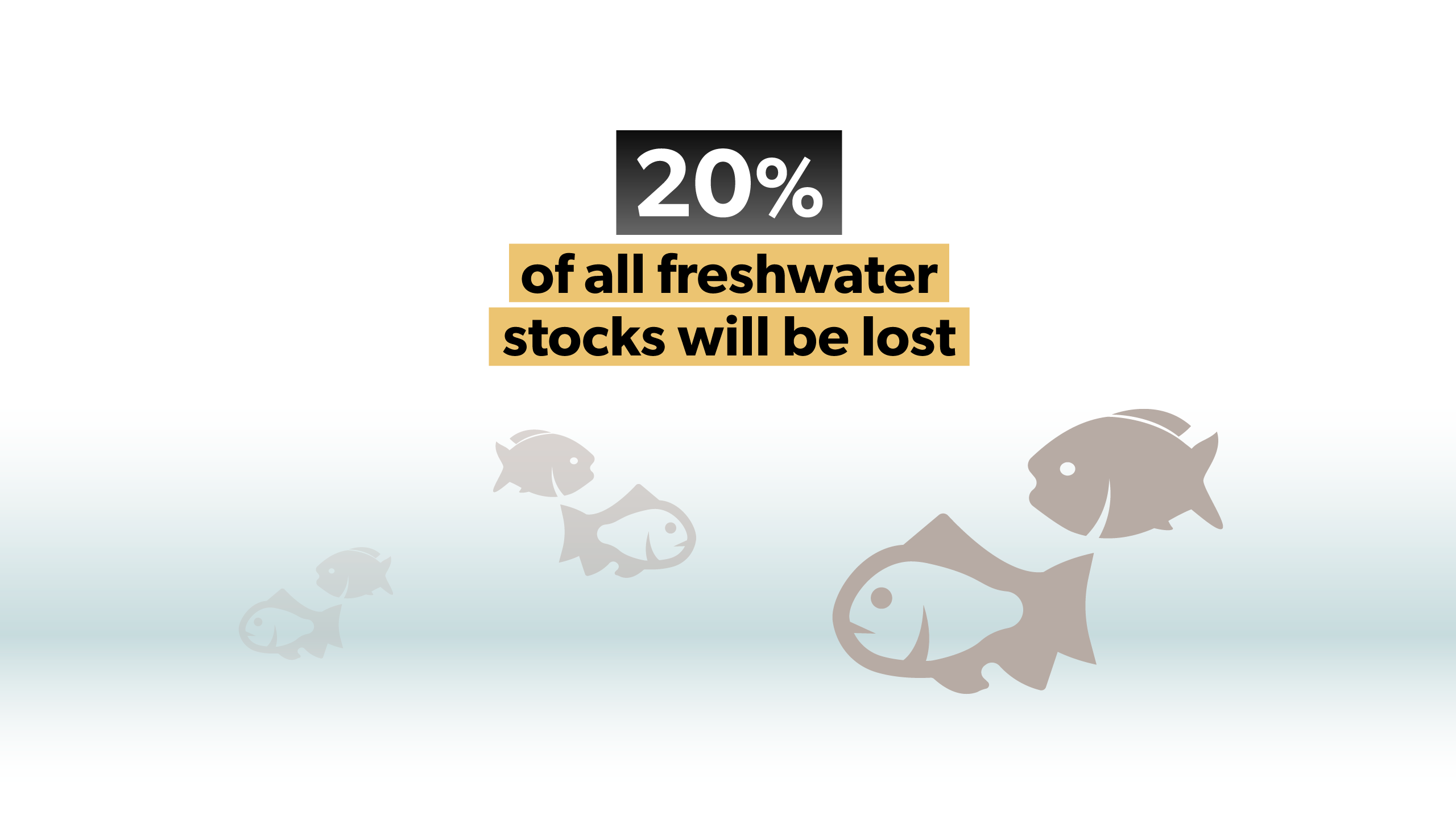 All freshwater stocks will be lost