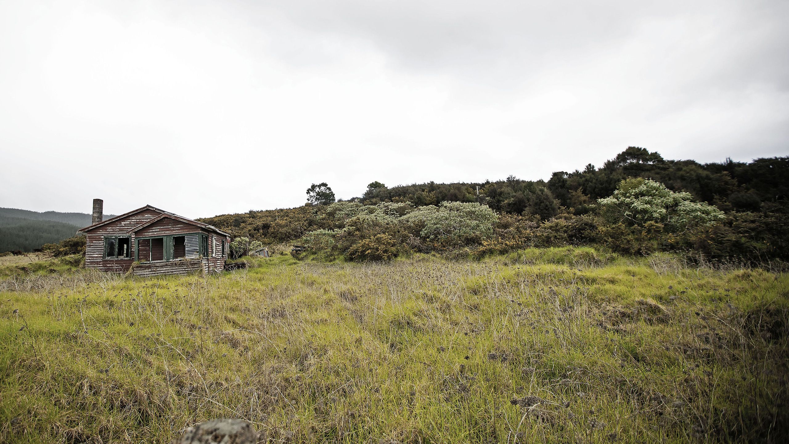 run down house in paddock