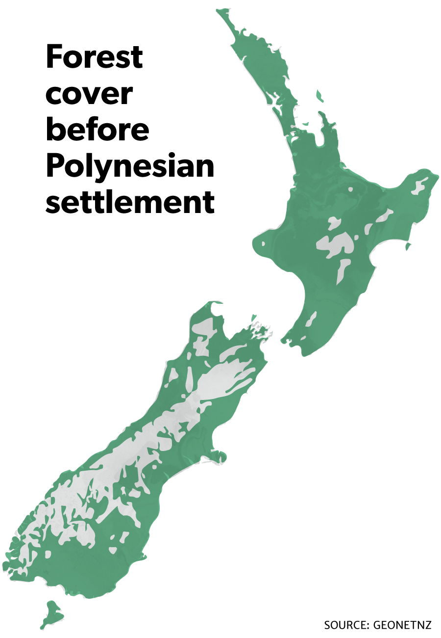 Map of forest cover in new Zealand before Polynesians