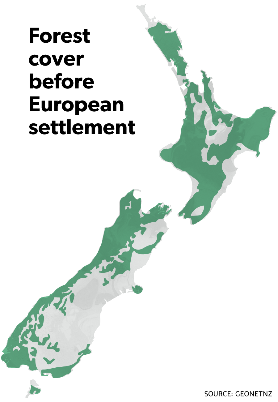 Map of forest cover in new Zealand before Europeans