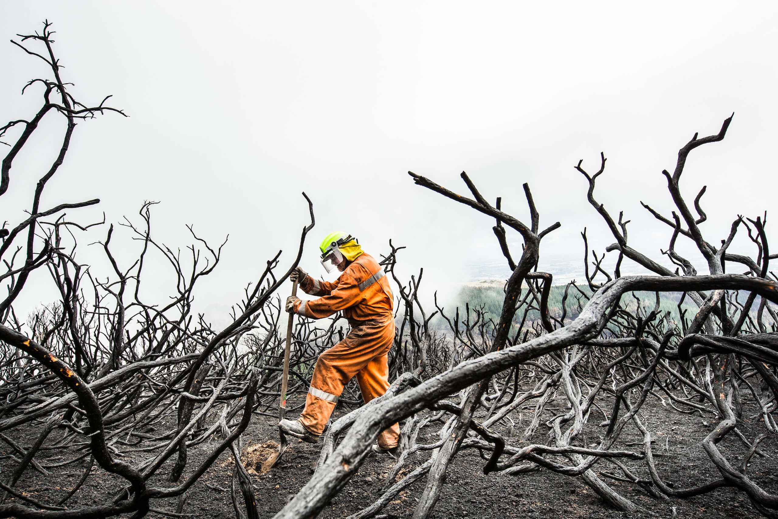 Trevor Andrew of the Ashburton Rural Fire Force digs for smouldering tree roots on the Port Hills during the Christchurch fires. Credit: Braden Fastier / Stuff