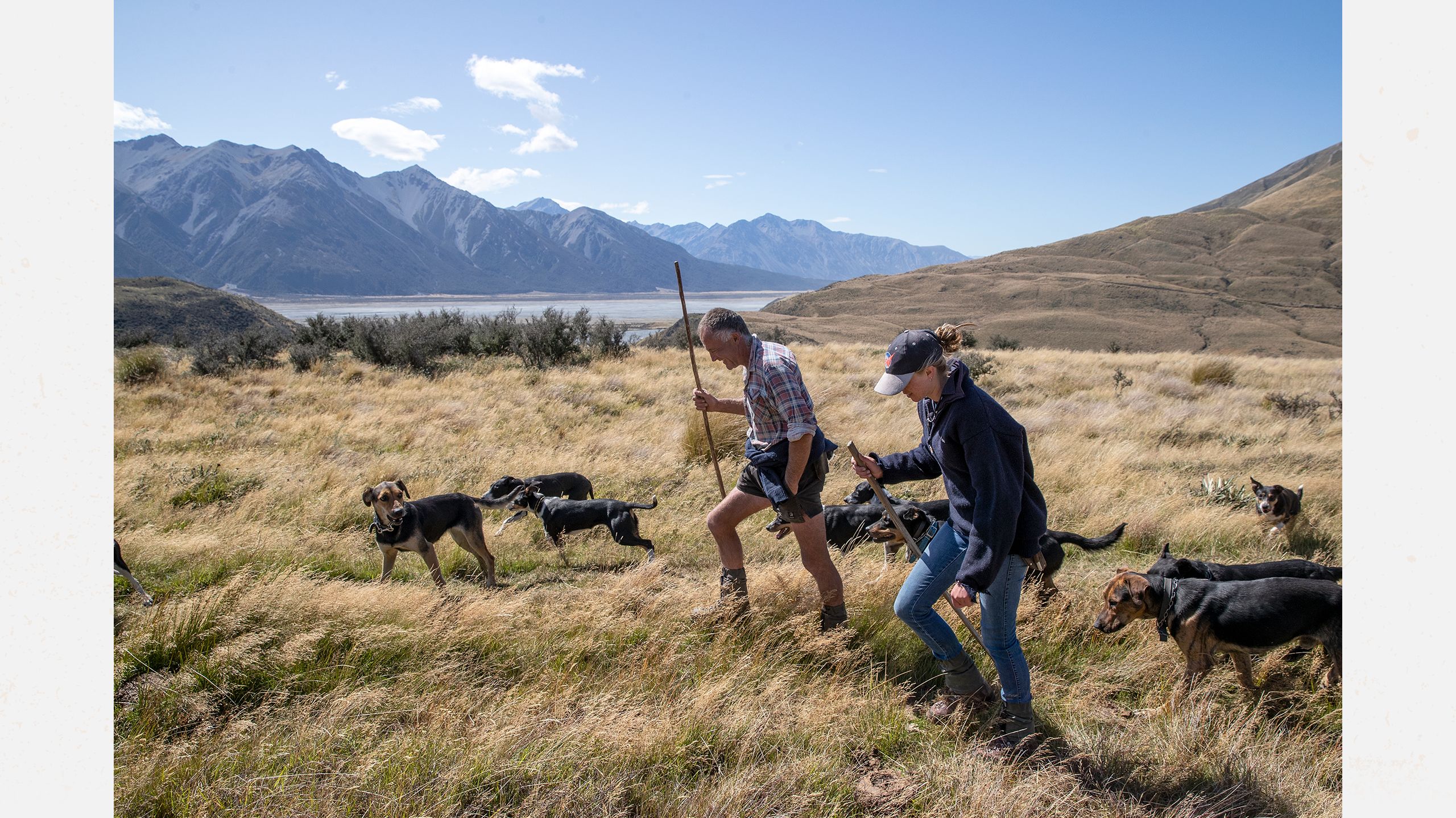 Shepherds Holly Addison and John Templeton (JT) heading on a sheep muster.