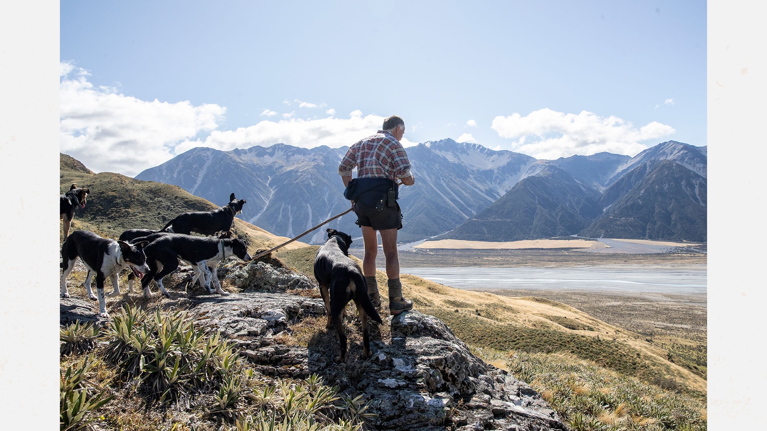 Shepherd John Templeton (JT) looking for his sheep to muster.