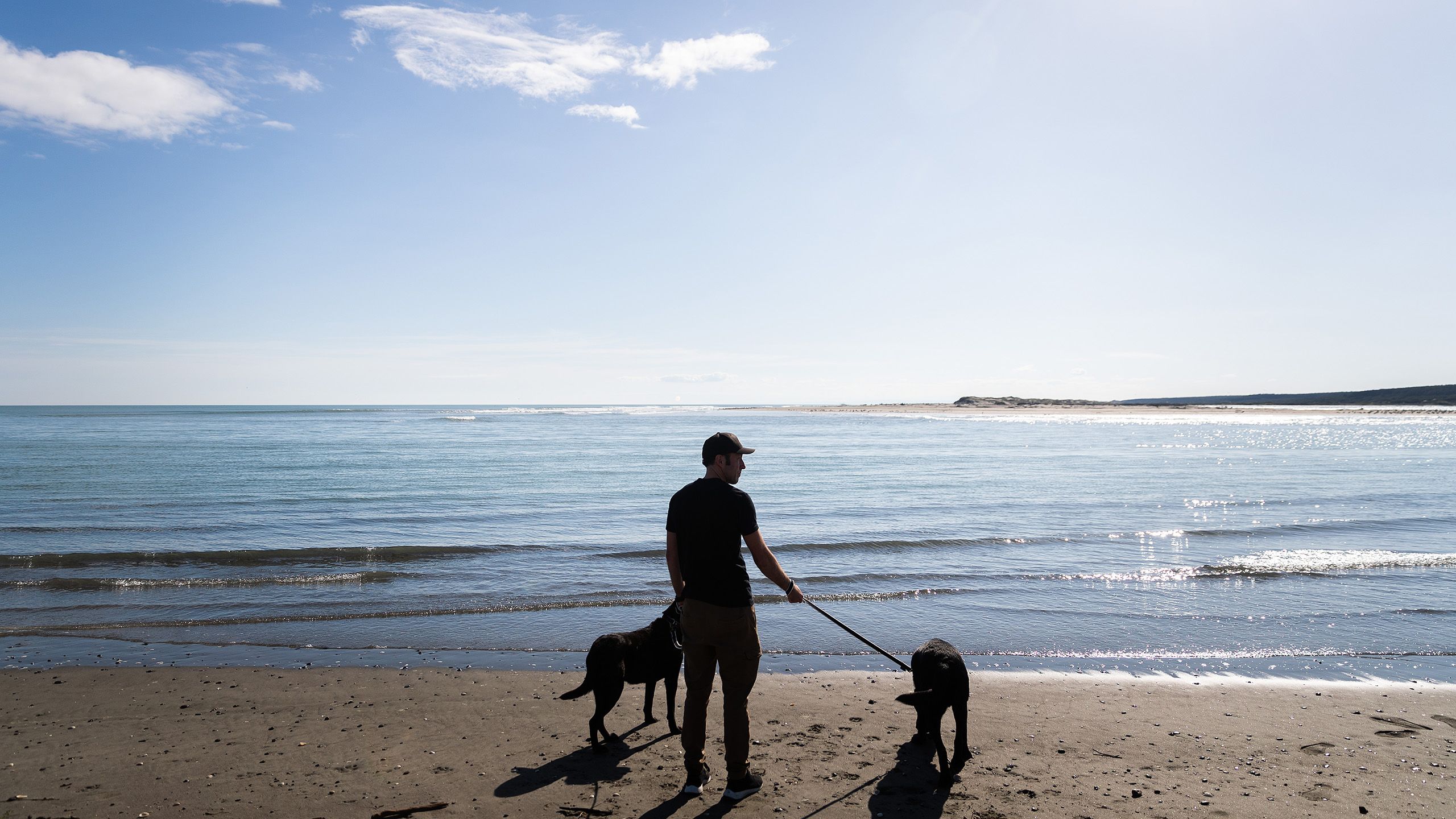 Mark walks his dogs along the beach.