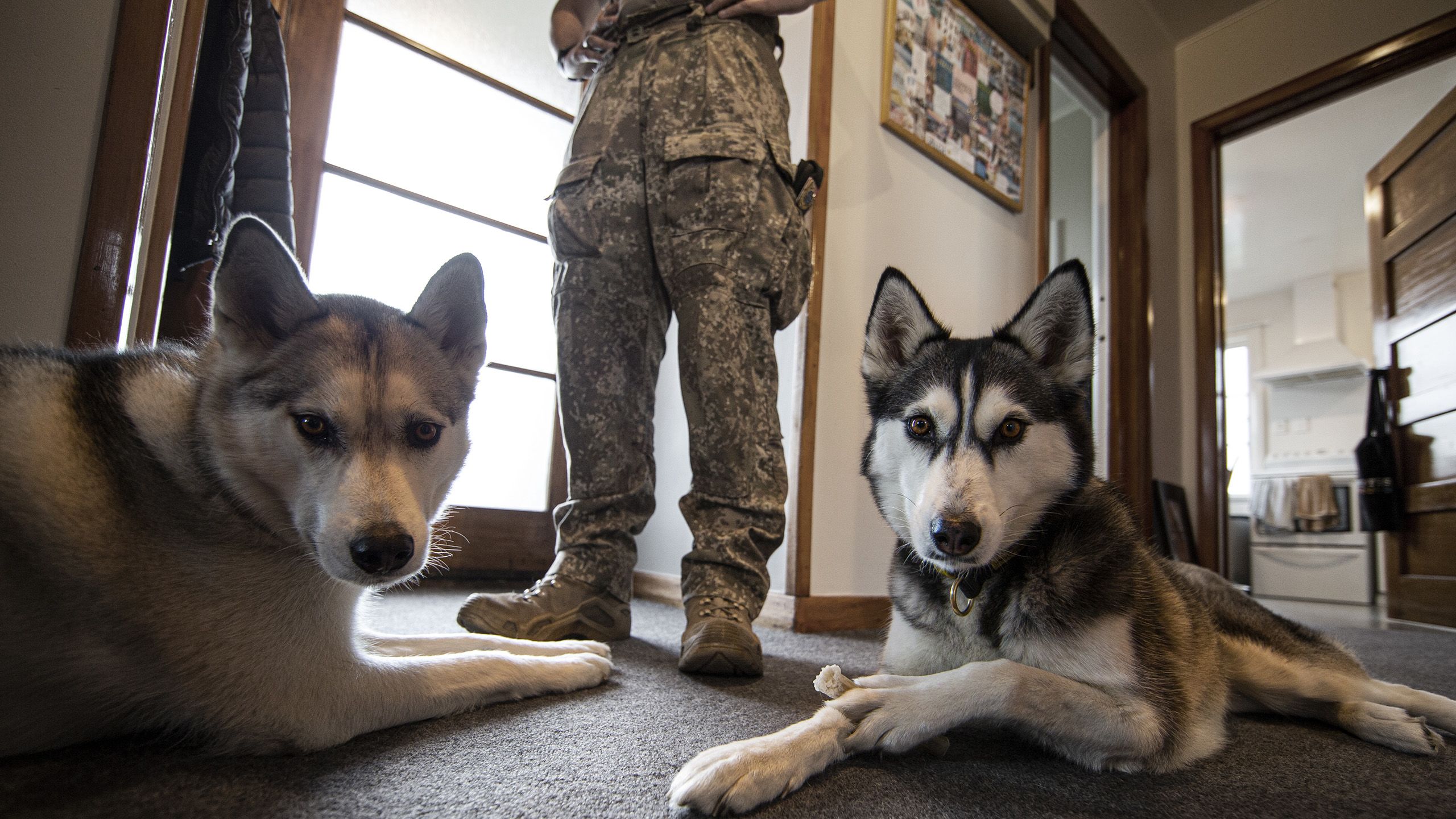 Sawyer returns home and stands in his hallway where his two dogs lie at his feet.