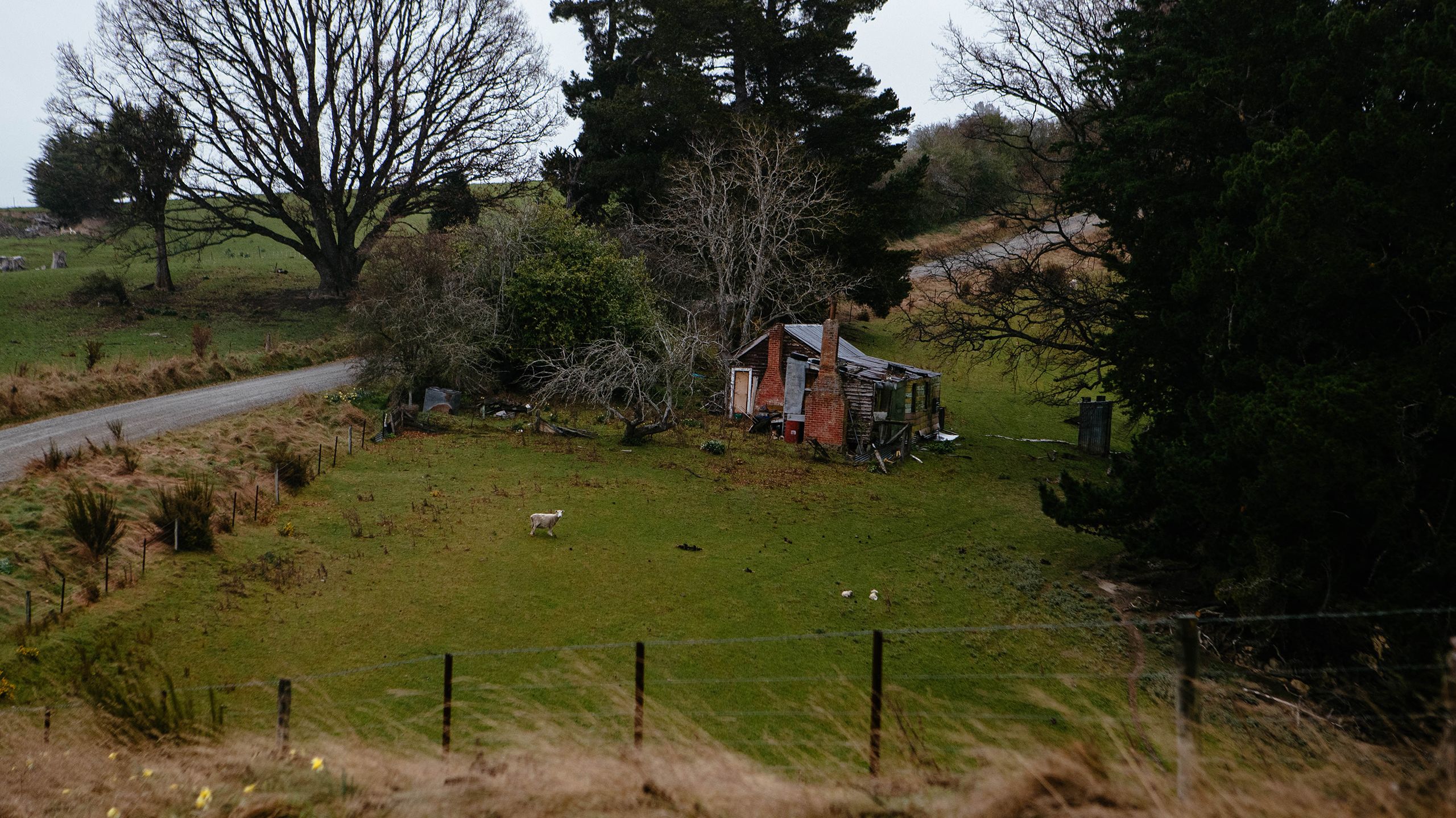 An abandoned shack in Gabriel’s Gully.