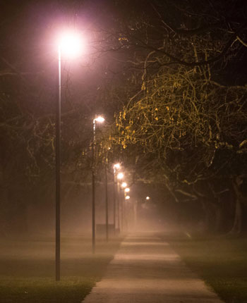 Lamp-lit path in Hagley Park on a foggy night
