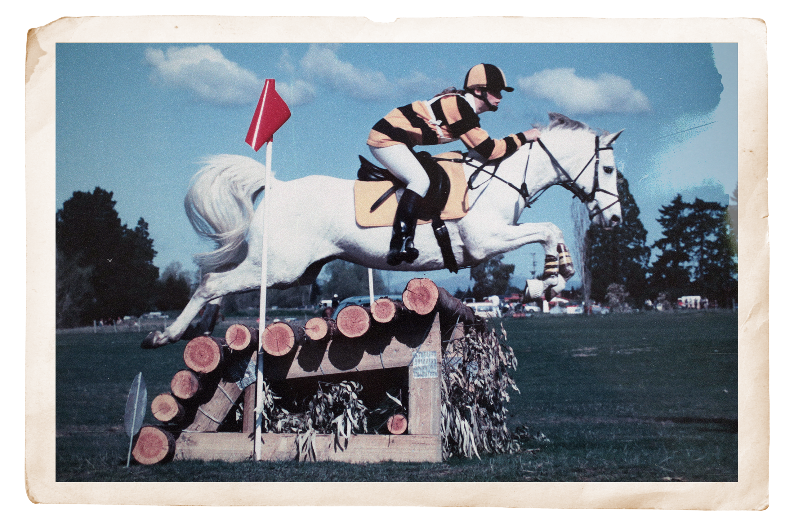 Kylie competing on a white horse jumping over a hurdle.