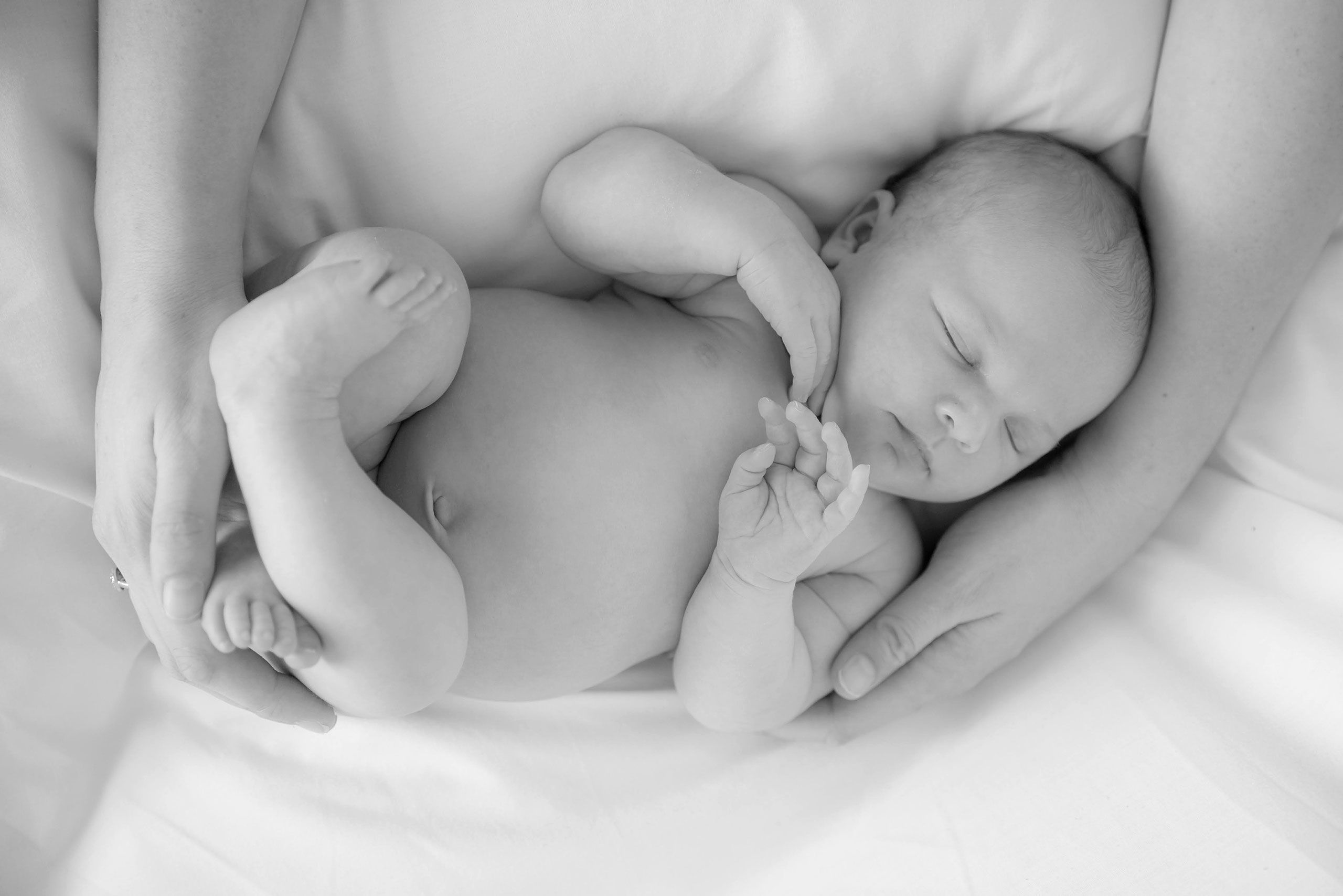 Beautiful soft focus black and white image of Jessica's lower arms cradling baby Hazel who is lying on crisp, white sheets.