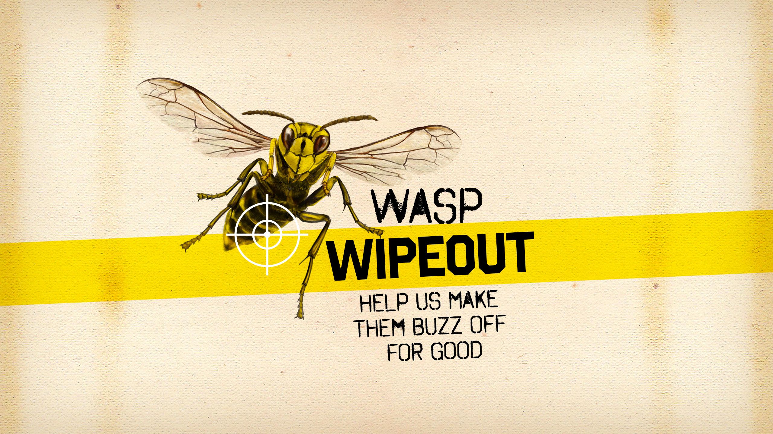 Wasp Wipeout: Help us make them buzz off for good