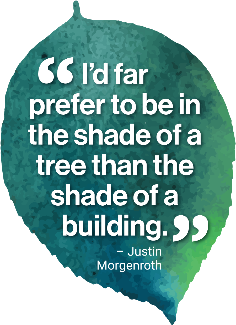 Quote: "I'd far prefer to be in the shade of a tree than the shade of a building." Justin Morgenroth
