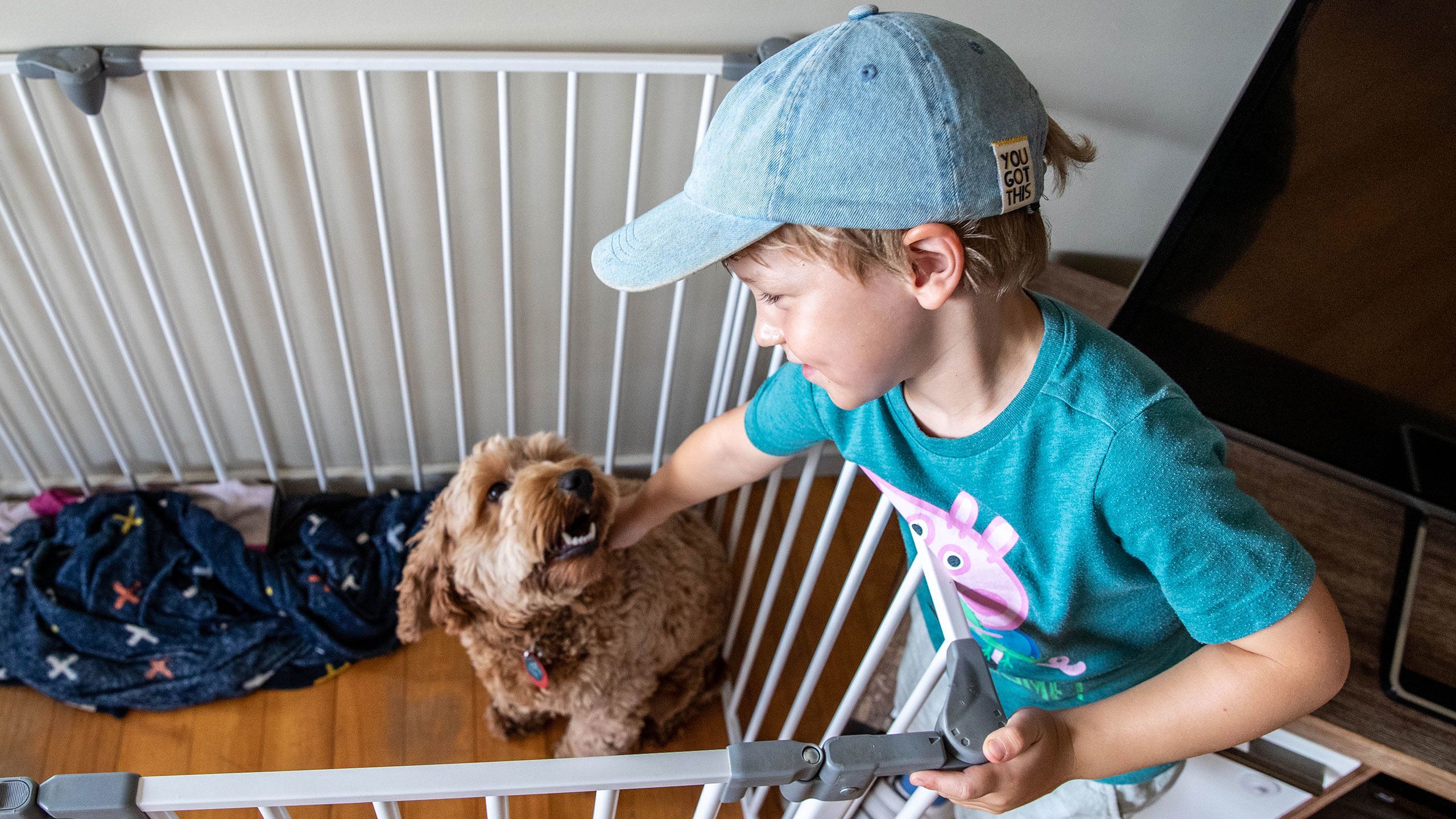 Alfie leans over to pat Roddy, their Spoodle puppy. Both Alfie and Roddy are smiling.