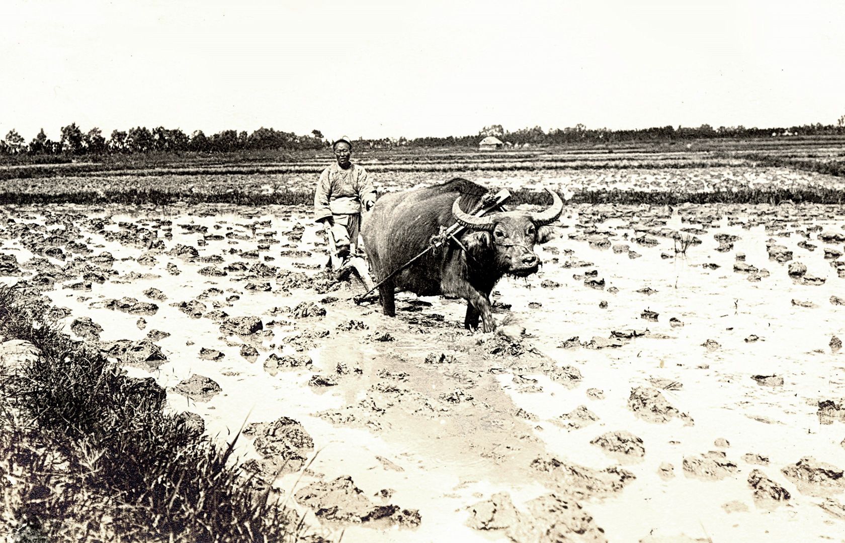 Xin Xi Lan Making A Life