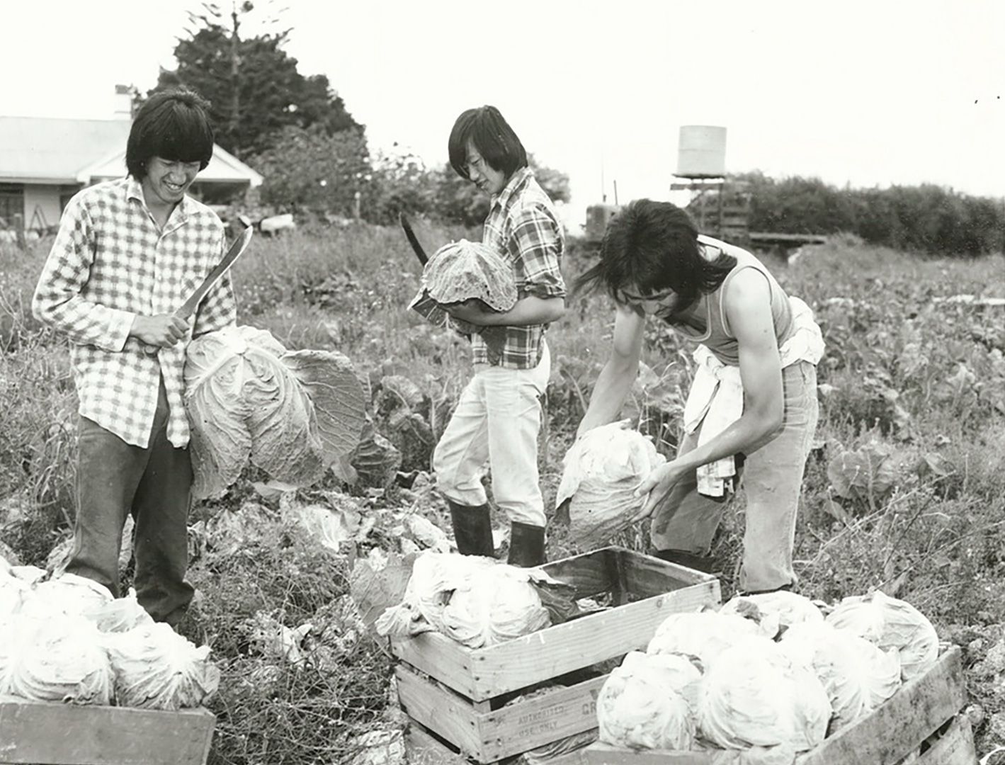 Xin Xi Lan Making A Life