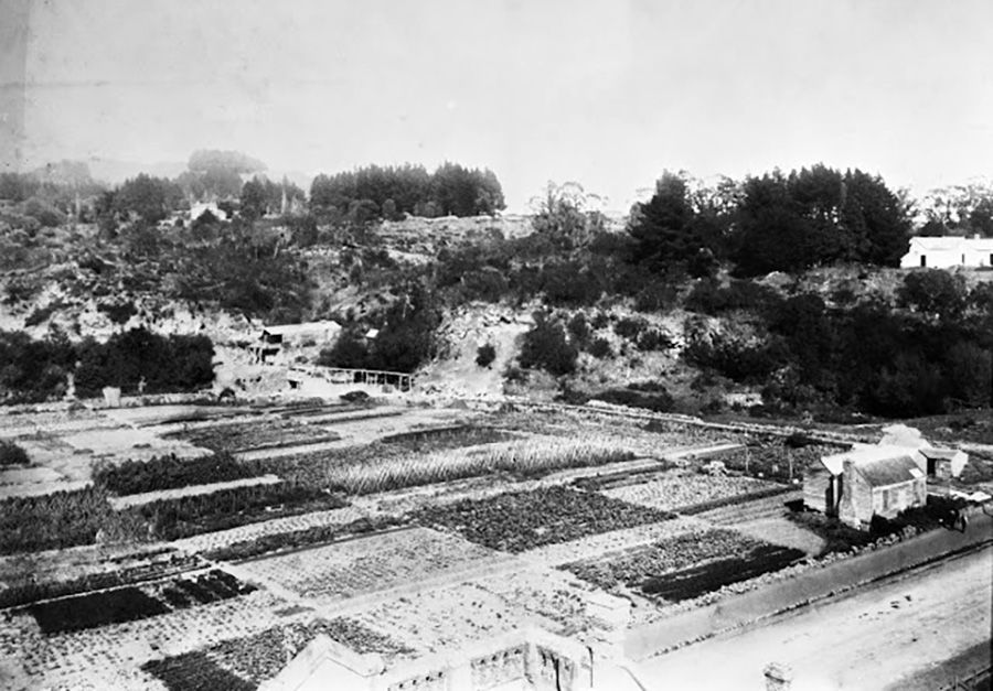 Xin Xi Lan Making A Life