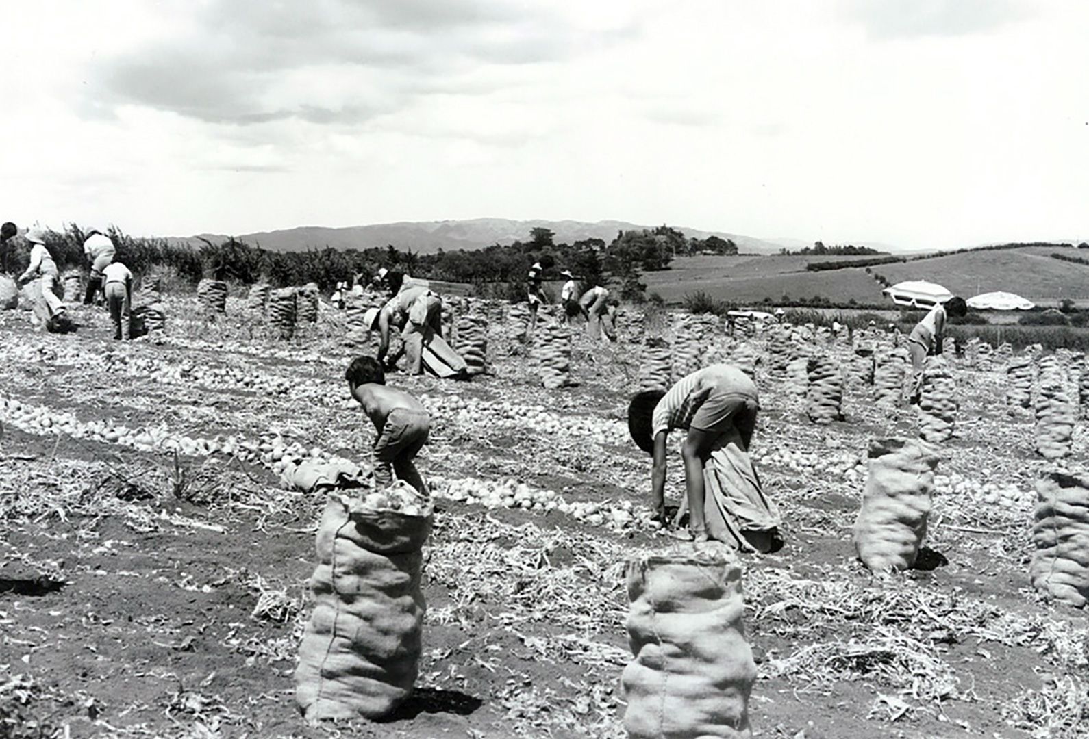 Xin Xi Lan Making A Life