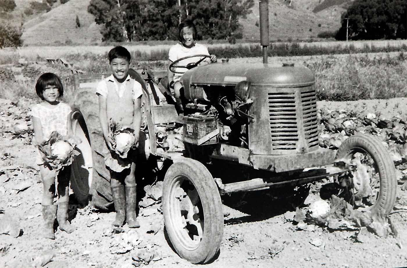 Xin Xi Lan Making A Life