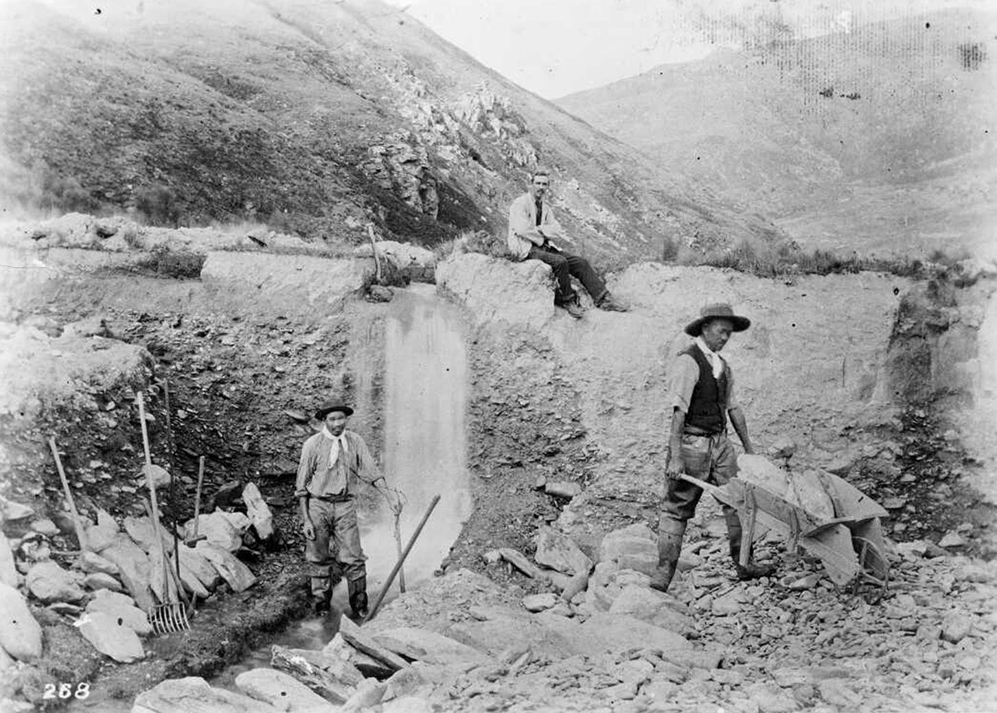 Xin Xi Lan New Gold Mountain