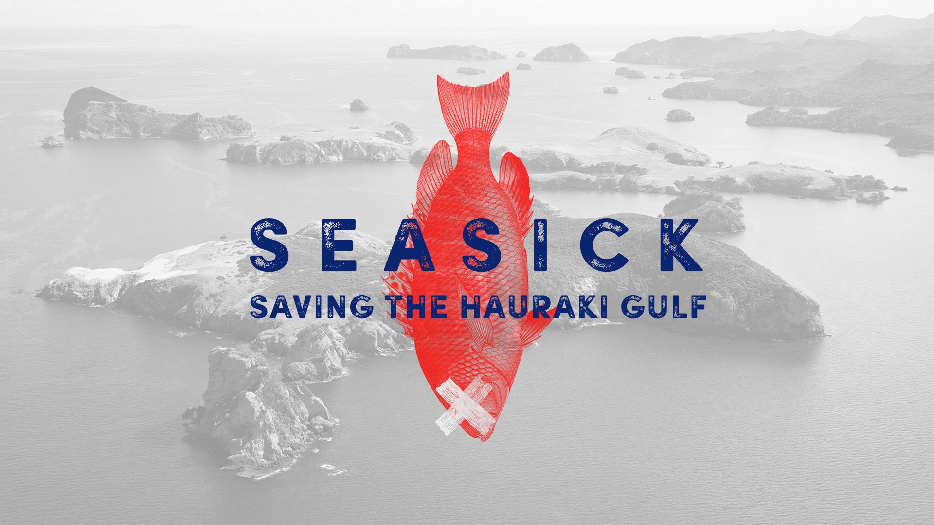 Seasick - Saving the Hauraki Gulf - Vimarsana News