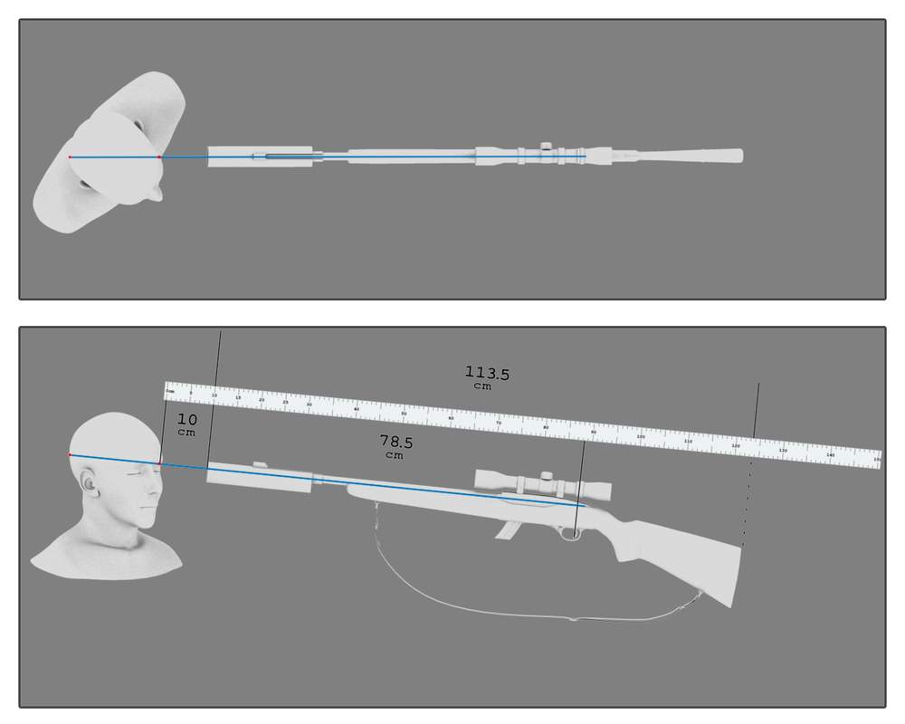 The Crown theory on where the rifle was when Robin was shot.