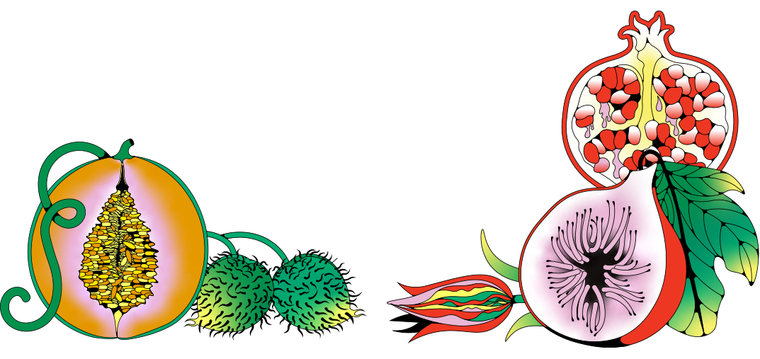 The good sex project artwork